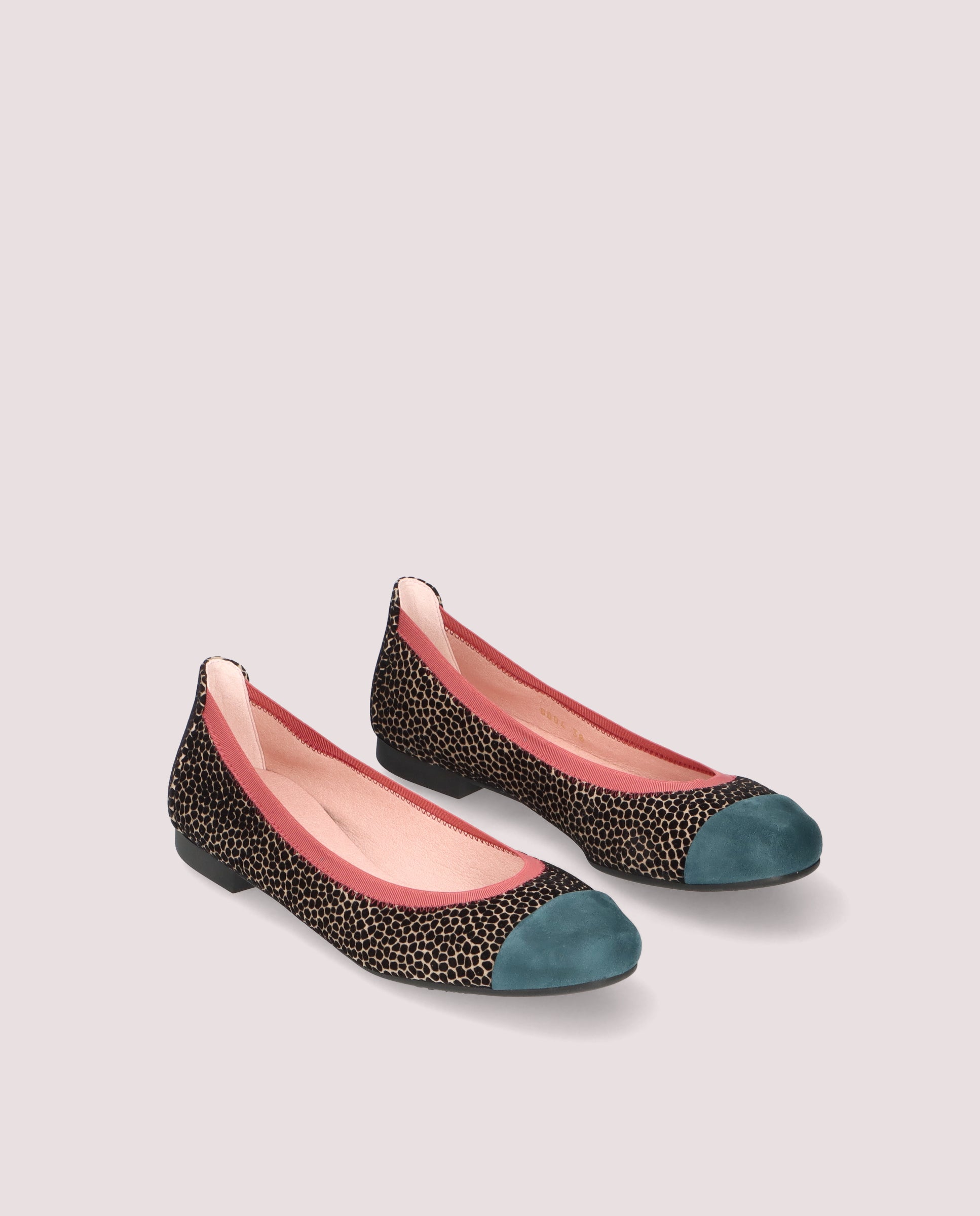 Bailarinas Shirley Multicolores Ante