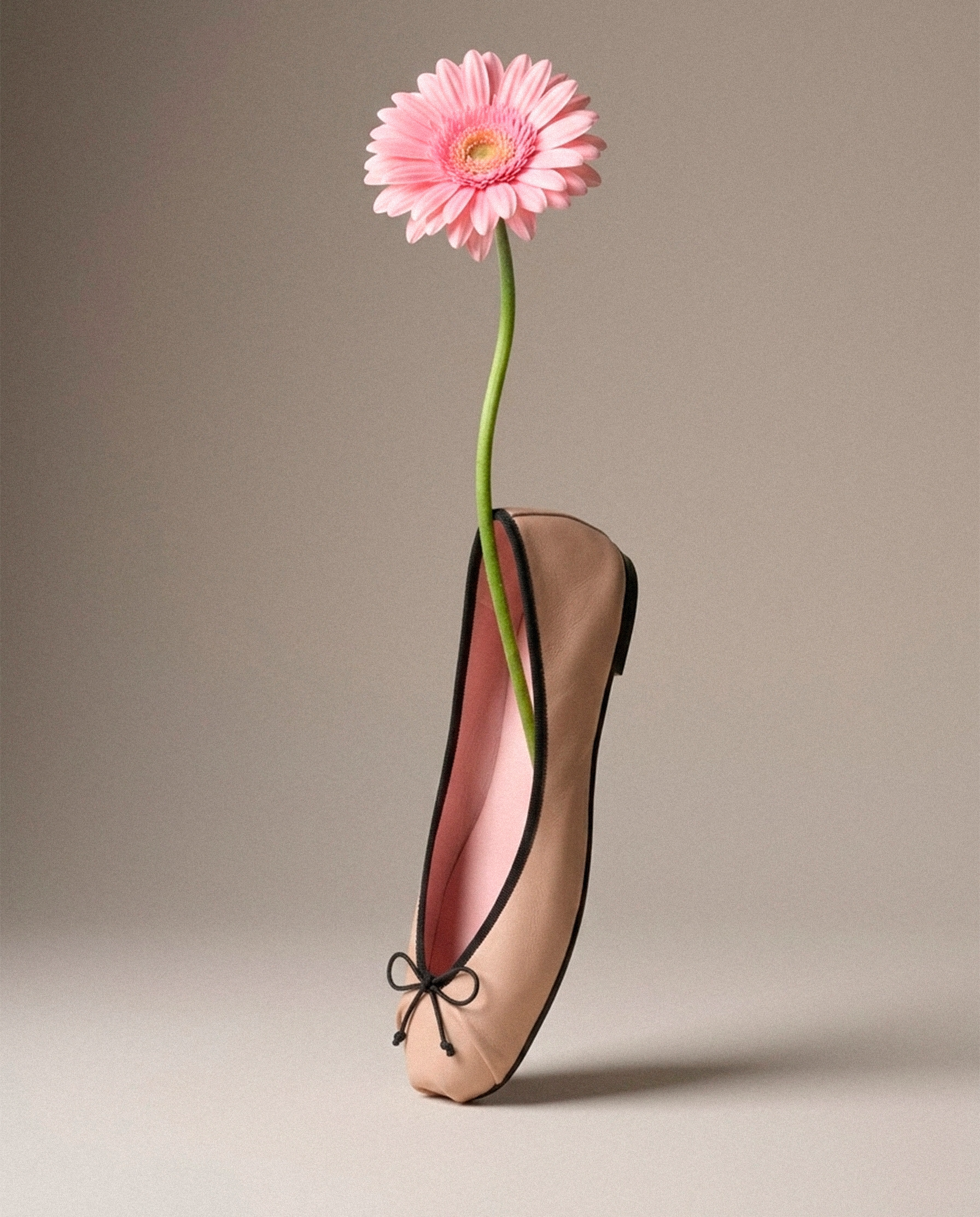 Vista alternativa de Bailarinas Kristen Beiges Piel por PrettyBallerinas