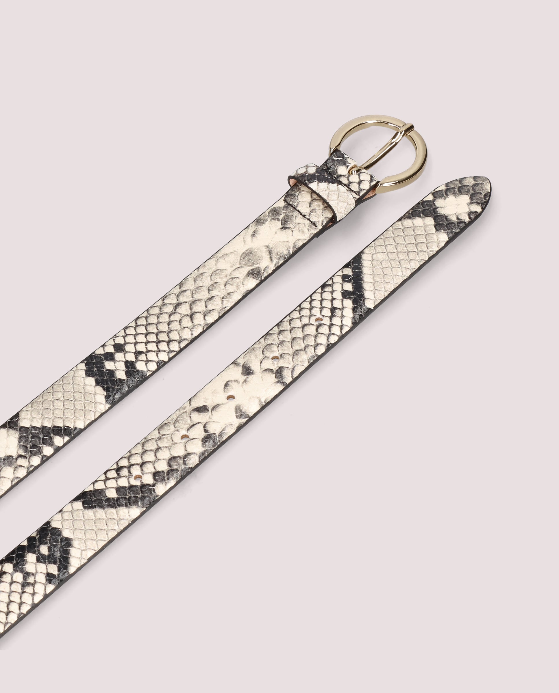 Cinturones Belt Animal print Pieles estampadas